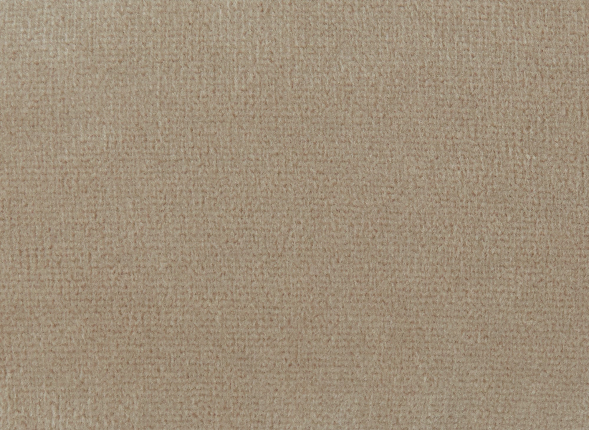 CARMEN beiger Chesterfield-Polstersessel aus Samt