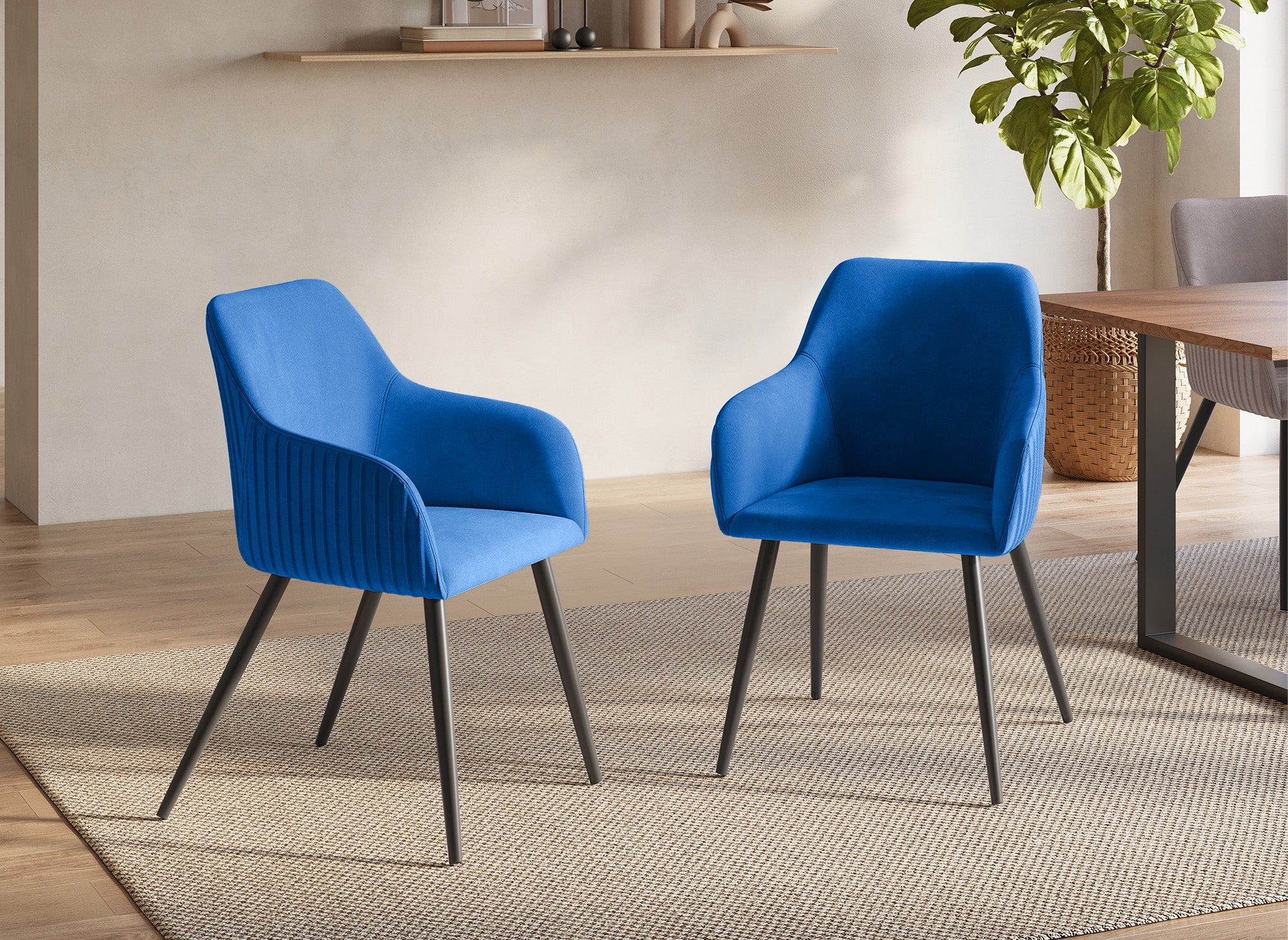 2er-Set blaue Samtstühle mit schwarzen Metallbeinen DEVOR