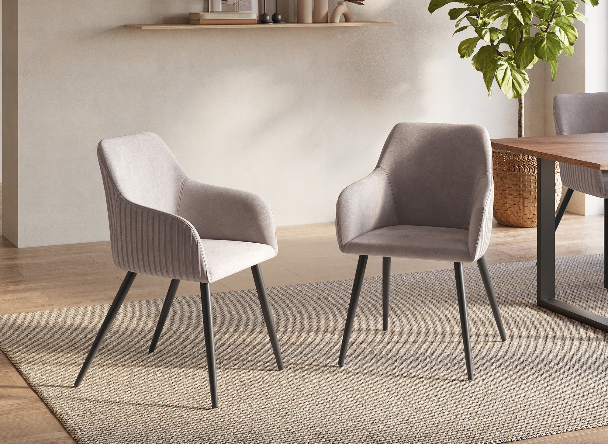 2er-Set beige Samtstühle mit schwarzen Metallbeinen DEVOR